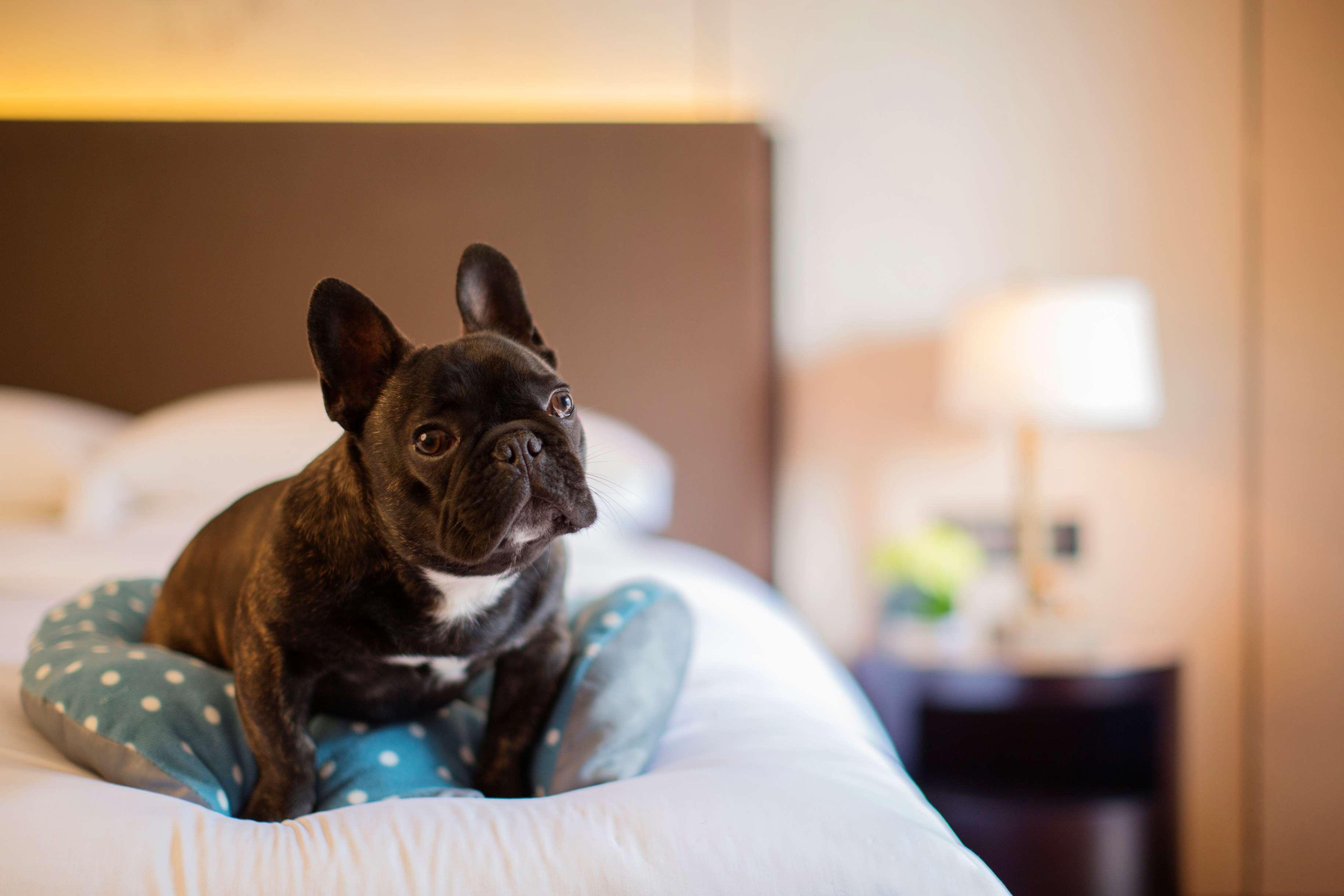 Hyatt Regency Chongming Hotel Luaran gambar
